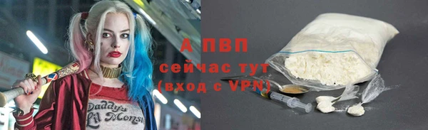 мяу мяу мука Белокуриха