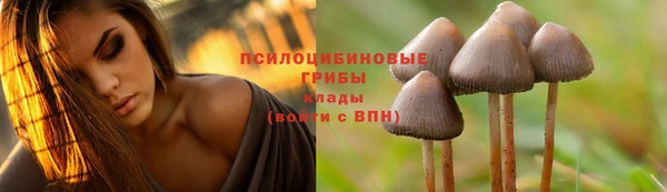 прущая мука Белоозёрский