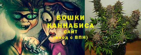 мяу мяу мука Белокуриха