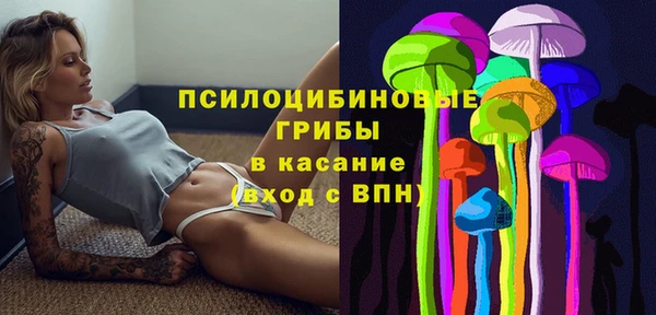 мяу мяу мука Белокуриха