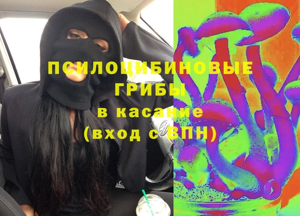 мяу мяу мука Белокуриха