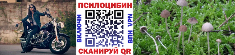 MEGA tor  купить   Сланцы  Псилоцибиновые грибы ЛСД 